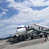 未来可期AAAAA头像