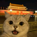 会说话的肘子w头像