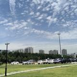 机智的风筝6l3头像