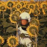 一如既往reyl头像