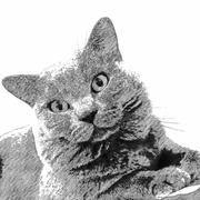 一颗卤蛋131的个人资料头像