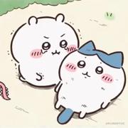 Kasnars的个人资料头像