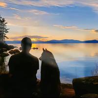 Serendipity63763头像