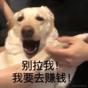 喝点白开水的个人资料头像