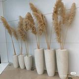 清爽阳光YX头像