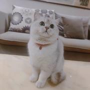 那个大晶呐的个人资料头像