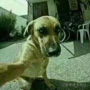 Sheldon6的个人资料头像