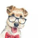 淼不想说话39352的个人资料头像