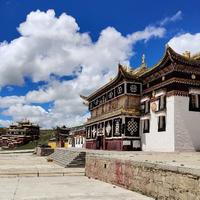 苏北闪电侠头像