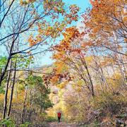 丈量的个人资料头像