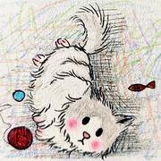 如山的个人资料头像