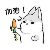 公考招聘信息头像