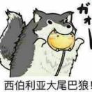 墨行川的个人资料头像