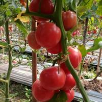 快乐就好0216头像