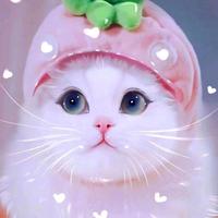 直爽的顺风车头像