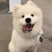 用户1127690412008的个人资料头像