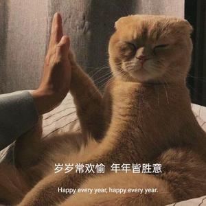 半窗旧梦头像