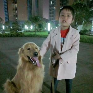 愚翁剪映头像