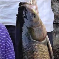 八点四十八分头像