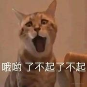 null不想说话50088的个人资料头像