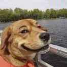 Anonymous在掘金90931的个人资料头像