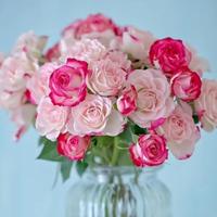 人道酬诚呀头像