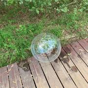 知夫的个人资料头像