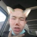 王真342头像