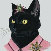 Miao01的个人资料头像