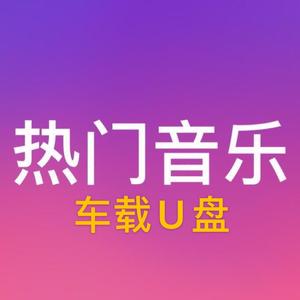 热门歌曲车载U盘头像