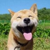用户1649728689777头像