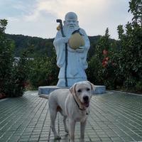 用户539673342482头像