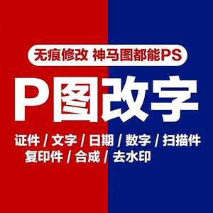 p图改字改文字数字病历截图假条工程图验收头像