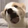 浅暖123的个人资料头像