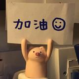 小施4718头像