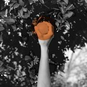 Herr的个人资料头像