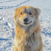 Ramon的个人资料头像