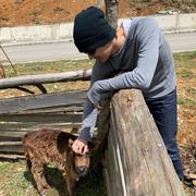 嘟嘟嘟U的个人资料头像