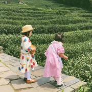 那年仲夏的个人资料头像