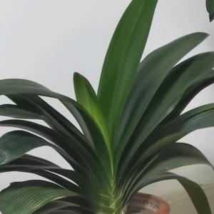 问世间情为何物12349头像