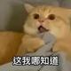 汤姆利伯蒂头像