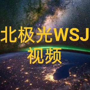 北极光WSJ秒懂科学头像