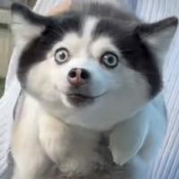 用户6249936727605头像