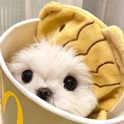 ax479的个人资料头像