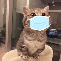 炸鱼头像