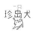 一只珍岛犬头像