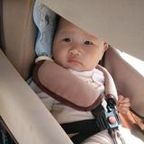馨宝妈妈（有关必回）头像