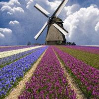 上善若水曹景航头像