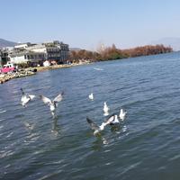 用户1481564904730头像