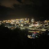 橘子批发大户头像